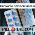 Black Ant Capsules 39